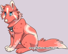 Pet