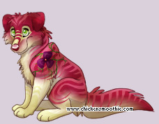 Pet