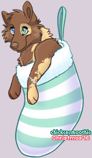 Pet