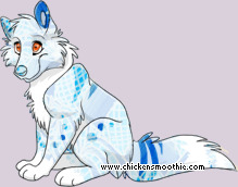 Pet