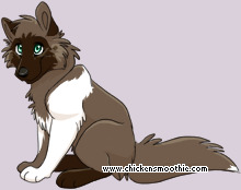 Pet