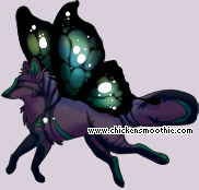 Pet