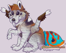 Pet
