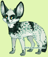 Pet