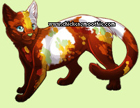 Pet
