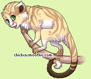 Pet