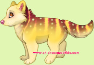 Pet