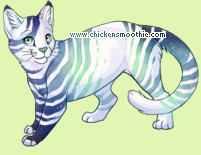 Pet