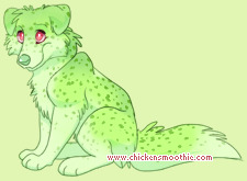 Pet