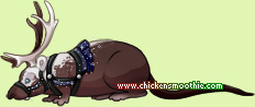 Pet
