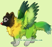 Pet