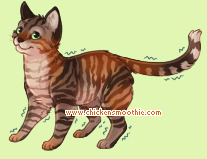 Pet