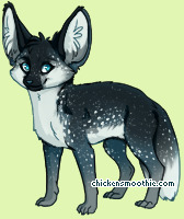 Pet