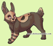 Pet