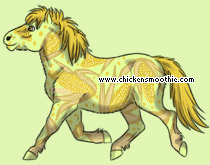 Pet