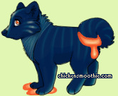Pet