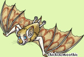 Pet