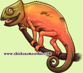 Pet