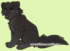Pet