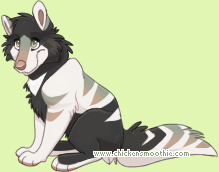 Pet