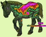 Pet