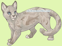 Pet