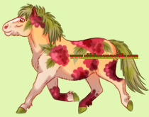 Pet