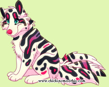 Pet