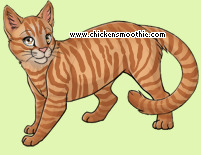 Pet
