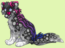 Pet