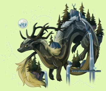 Pet