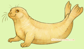 Pet