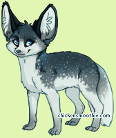Pet