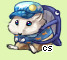 Pet