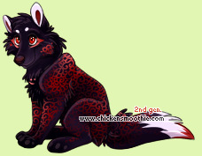 Pet