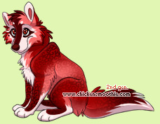 Pet