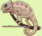Pet