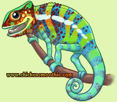 Pet
