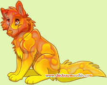 Pet
