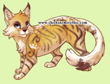 Pet