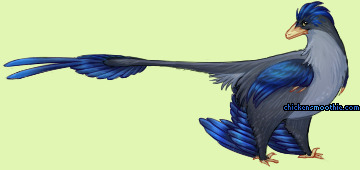 Pet