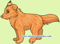Pet