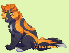 Pet