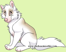 Pet