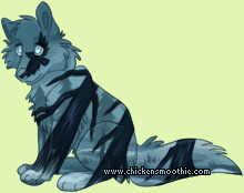 Pet