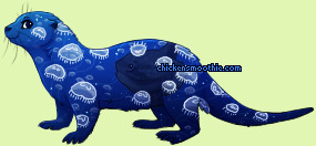 Pet
