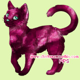 Pet