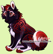 Pet