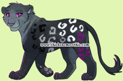 Pet