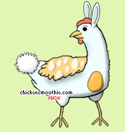 Pet